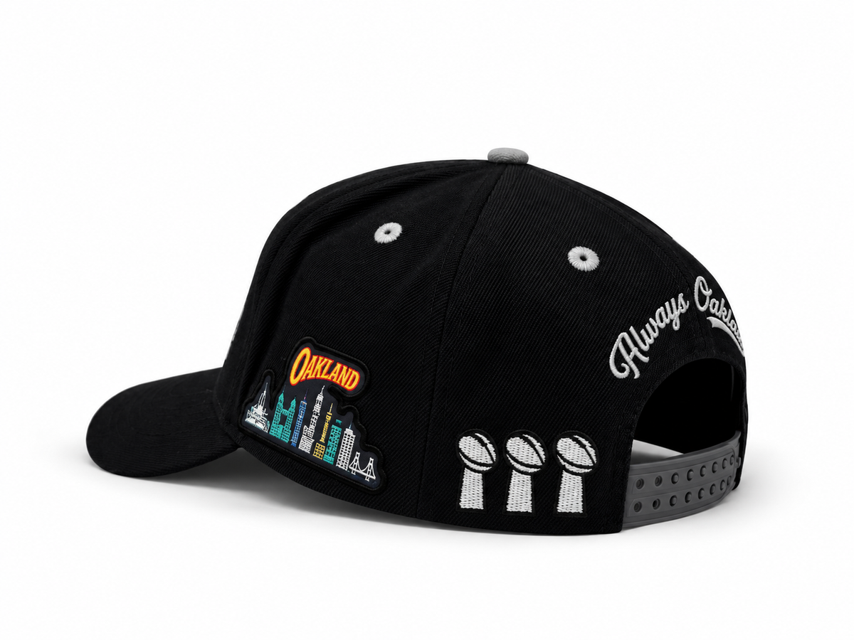 THE LAST ONE STANDING NATION SNAPBACK